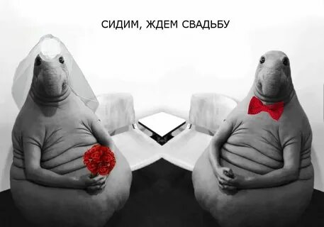 Гуф сижу на полу жду когда выйдет