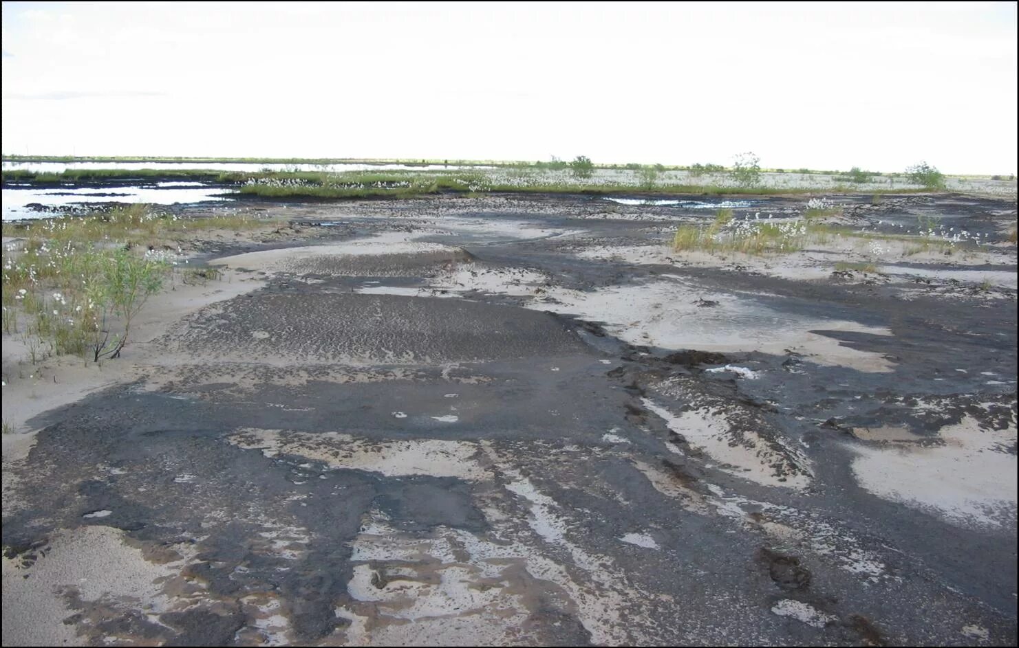 Рекультивация земель загрязненных нефтью и нефтепродуктами. Рекультивация земель загрязненных нефтью и нефтепродуктами. Рекультивация земель загрязненных нефтью и нефтепродуктами. Почв загрязненных нефтью рекультивация. Нефтезагрязнение почвы.