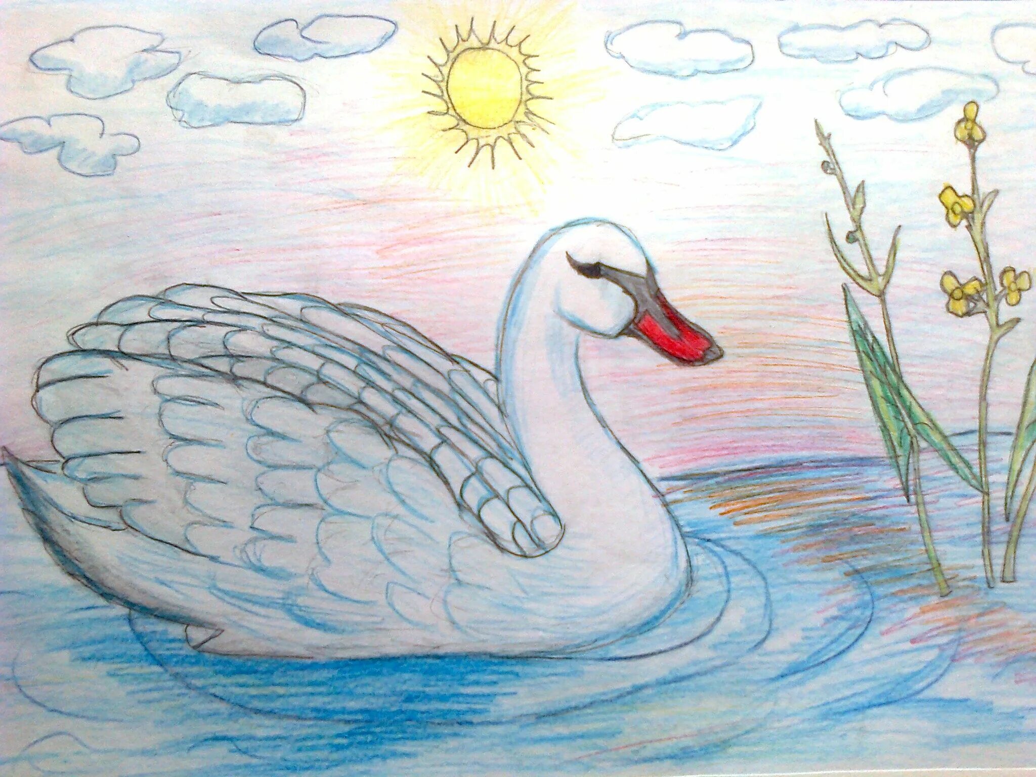 Нарисовать рисунок лебедушка. Детские рисунки лебедя. Лебедь детский рисунок. Лебедь рисунок карандашом. Лебедь на воде рисунок.