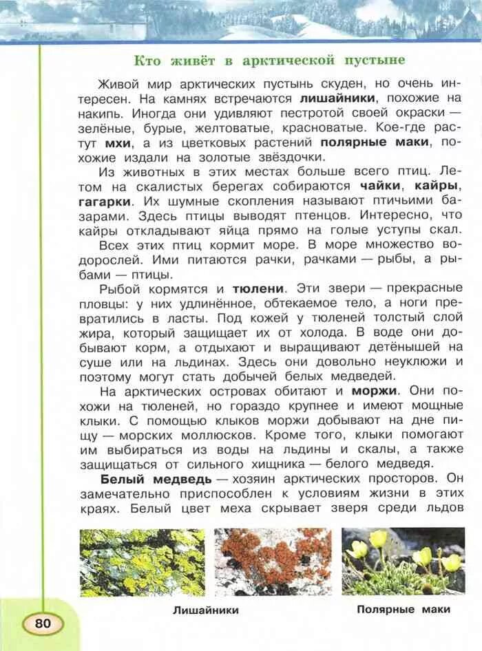 Окружающий мир 4 класс плешаков контрольная. Учебник по окружающему миру 4 класс плешаков новицкая. окружающий мир 4 класс стр 140-141. окружающий мир 4 класс учебник 1 часть стр 110-117.