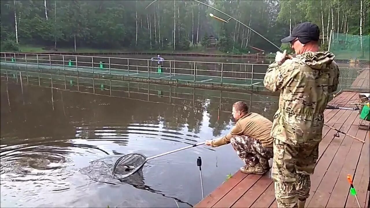 Клевым местам видео. Рыбалка клёвое место Лосиный остров. Платная рыбалка на осетра в Подмосковье. Форелевый платник в Подмосковье. Платная рыбалка Лосиный остров.