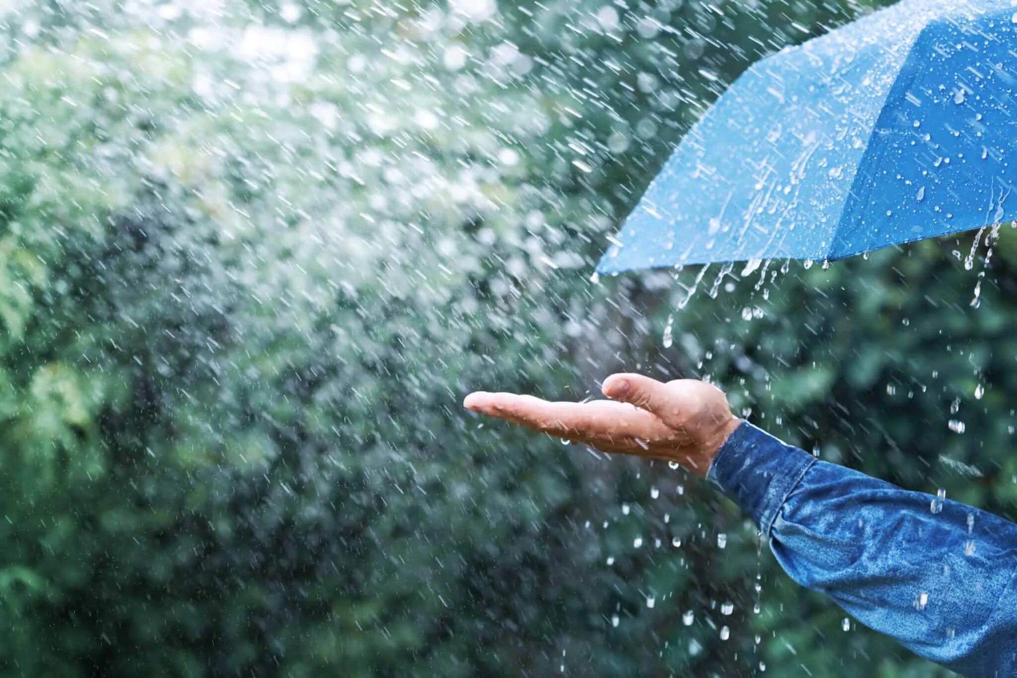 Raining meaning. Ливень. Дождливая природа и рука. Проливной дождь. Против дождя.