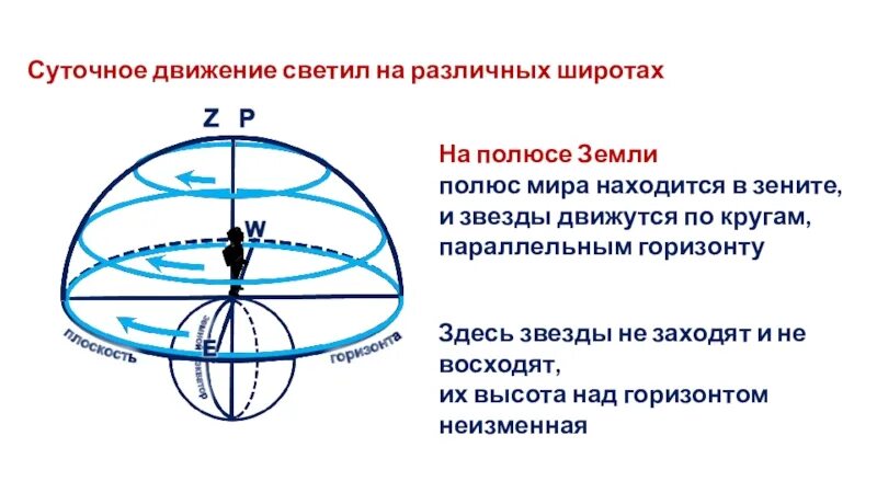 Суточное движение светил на различных широтах. Сутрчное двмжение свеиил. Суточное движение звезд. Суточное движение светил на полюсе земли. Видимое движение светил