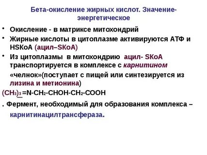 Биологическое окисление жиров