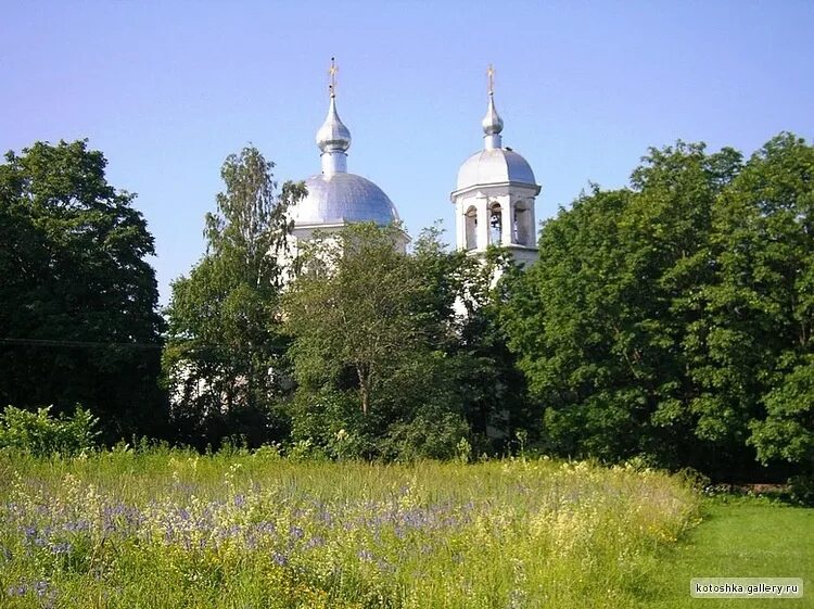 Дер. Коростень Новгородская область. Путевой дворец Коростынь Новгородская. Дер Коростынь Новгородской области. Коростынь новгородская область