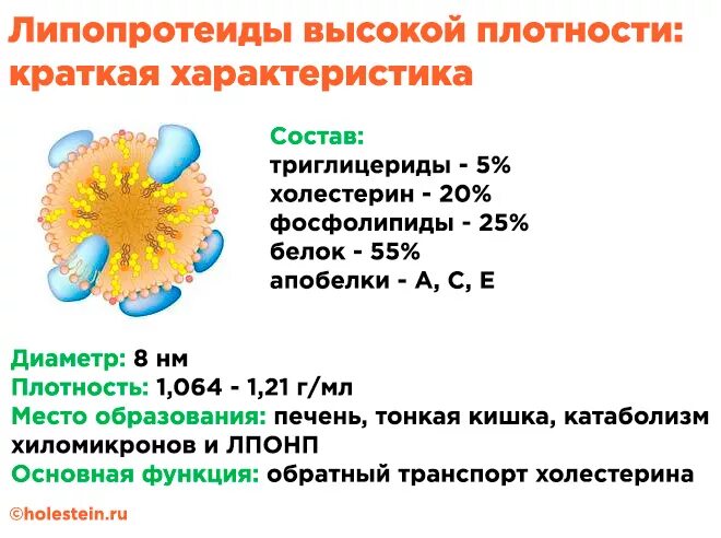 Липопротеины высокой плотности состав. Состав липопротеинов высокой плотности. Липопротеины высокой плотности строение. ЛПВП строение биохимия.