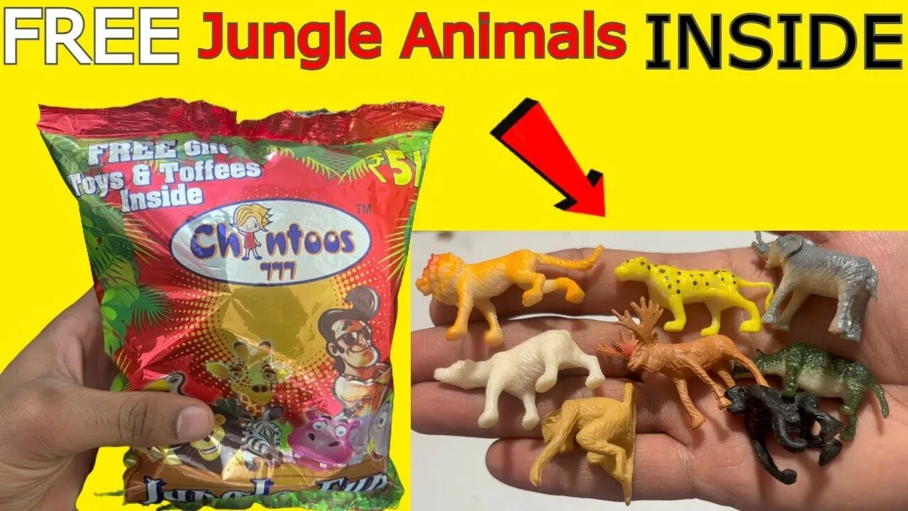 Animals inside. Fold-out fun: Jungle.