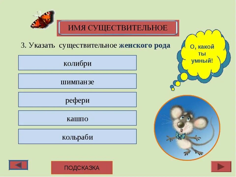 Определите род существительных шимпанзе. Колибри какой род существительного. род имен существительных колибри. существительное женского рода колибри. укажите существительные женского рода.