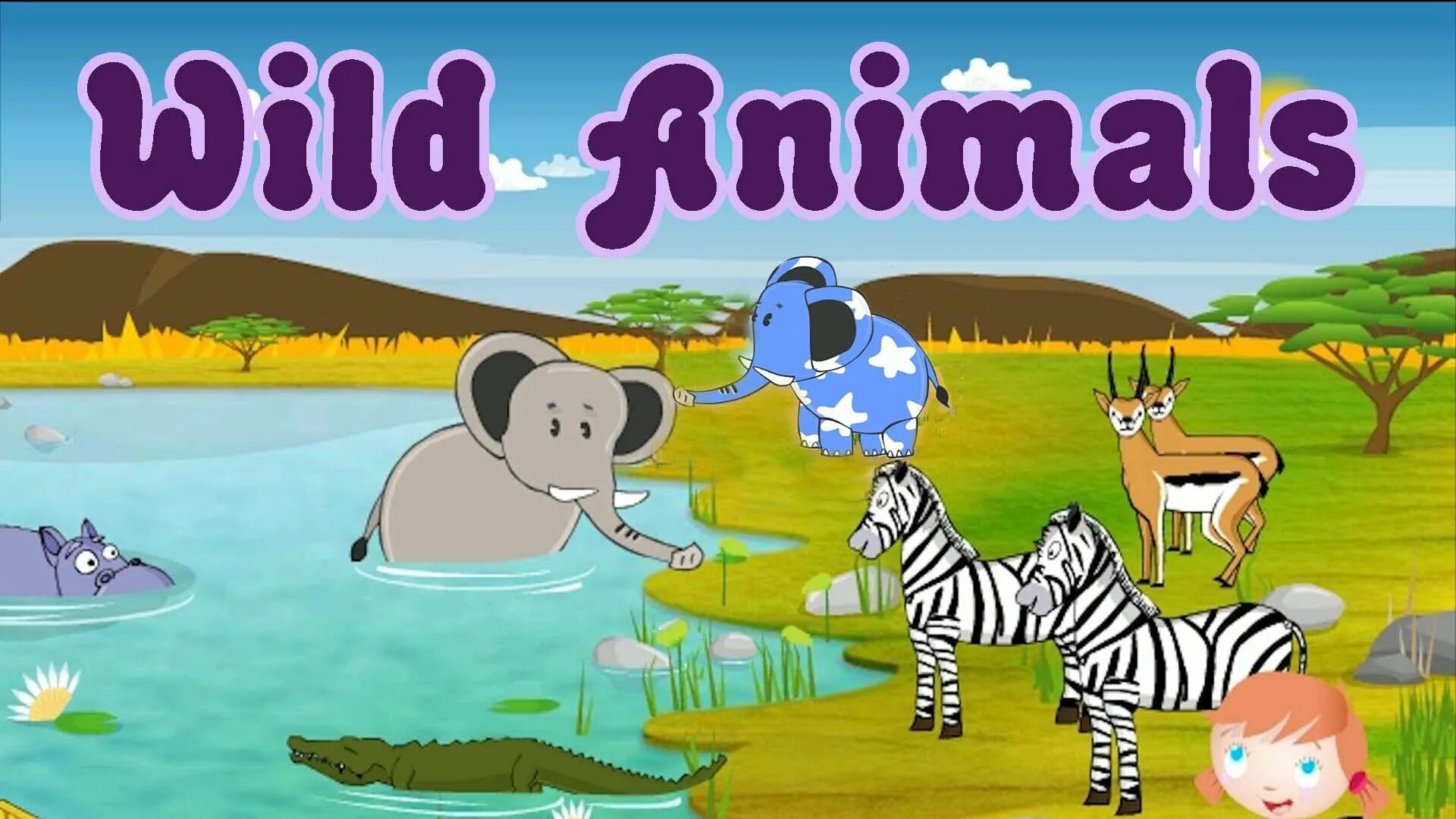 Zoo animals videos