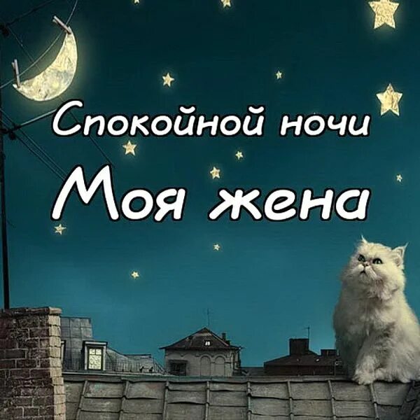 Хороших снов жене. Спокойной ночи любимая. спокойной ночи жена. пожелания спокойной ночи любимой жене. спокойной ночи любимая жена.