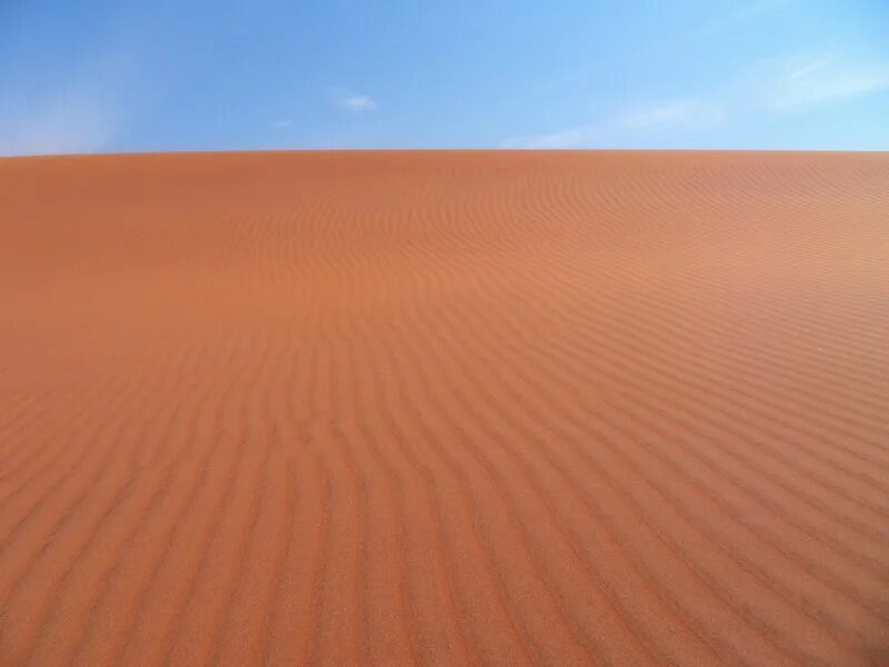 Где в эмиратах сердца из воды среди песков. Оазисы руб эль-хали. Морской песок. Оранжевый песок. Туркменистан природа каракумы.