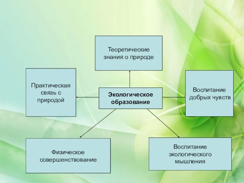 Экологическое образование учащихся. Экологическое образование. Экологическое воспитание учащихся. Экологизация образования. Воспитание экологической культуры.