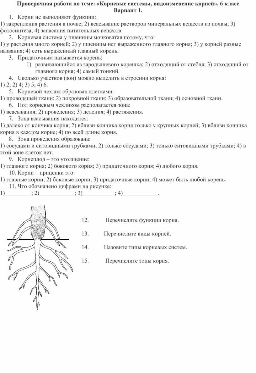 Проверочная корни 6 класс