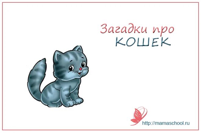 Придумать загадку про кошку 1 класс. Загадка про котенка. загадка про котенка для детей. придумать загадку про кошку. загадки о кошках для школьников.