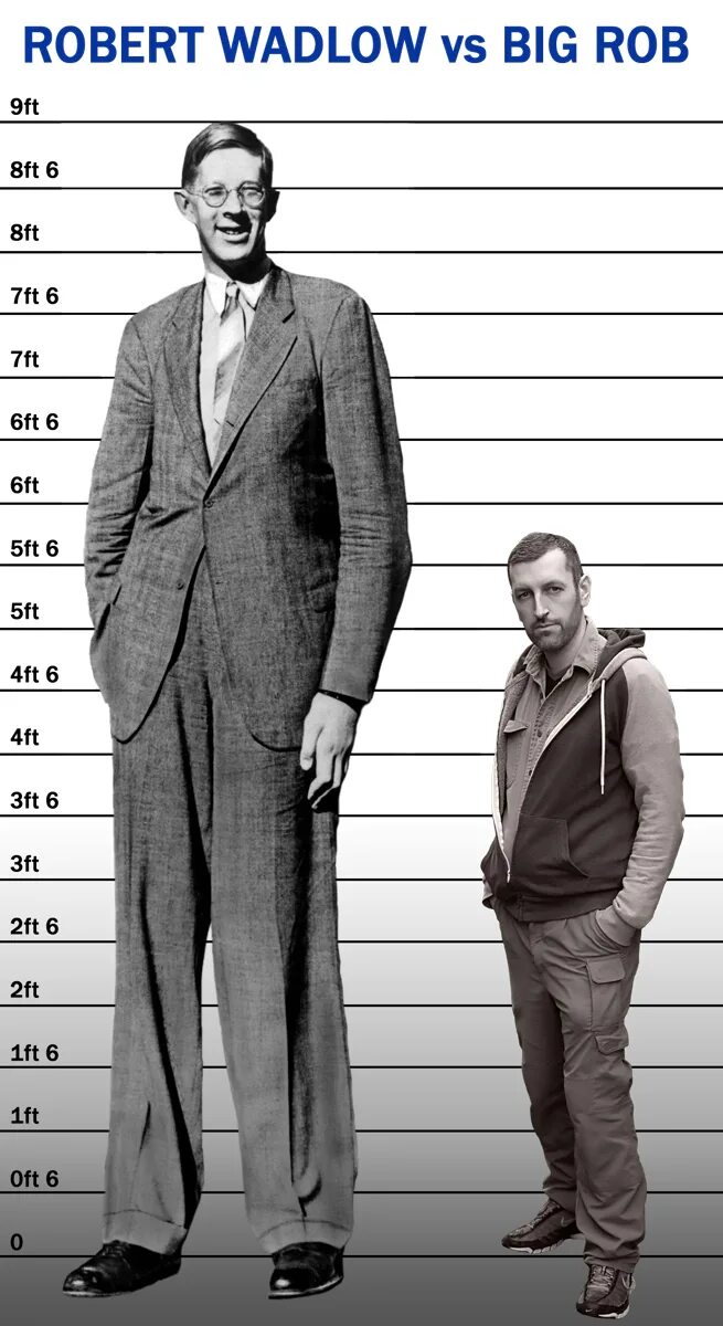 Какой рост самому высокому человеку. Роберт Першинг Уодлоу размер ноги. Роберт Уодлоу рост. 272 Рост Роберт Уодлоу. Роберт Першинг Уодлоу сравнение.