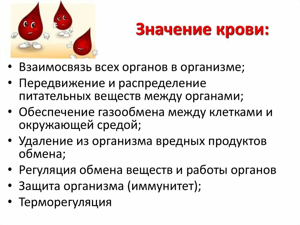 Слово чушпана кровь. Значение крови. Функции плазмы крови. Важность крови. Значение крови для организма.