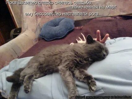 Она наставила ему