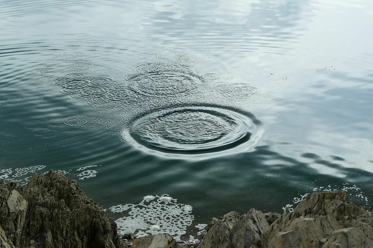 Круги на воде. Камень в воду круги. Вода озеро. Круги на воде от камня. Вода в реках всегда