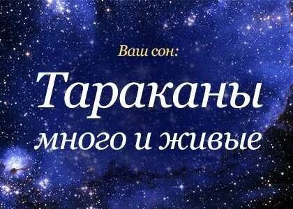 Ловил таракана во сне