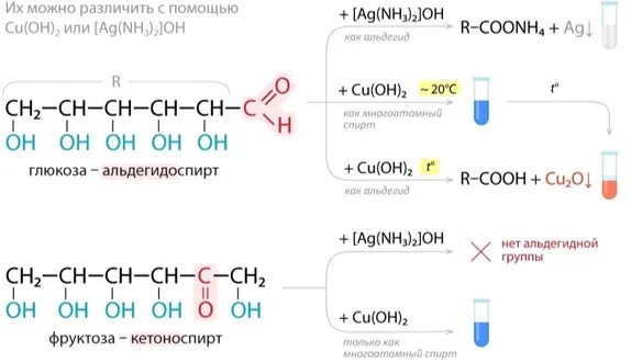 Фруктоза химия 10 класс. Органическая химия фруктоза. Фруктоза это кетоноспирт или нет. Альдегидоспирт формула. Почему фруктозу называют кетоноспиртом.