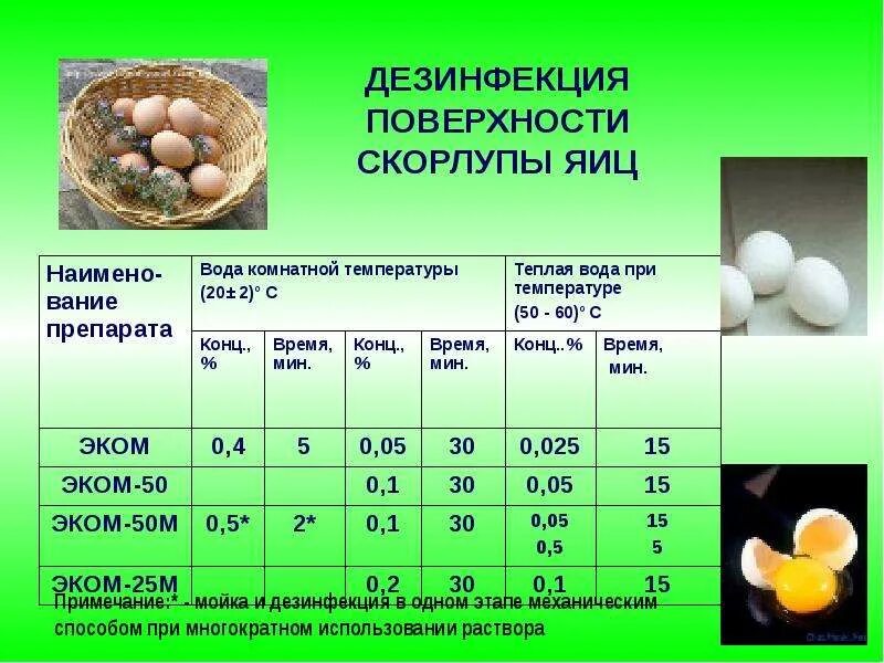 Сколько грамм скорлупы в яйце. Обработка скорлупы яиц. Дезинфекция пищевых яиц. Скорлупа яйца состав. Обработка яичной скорлупы.