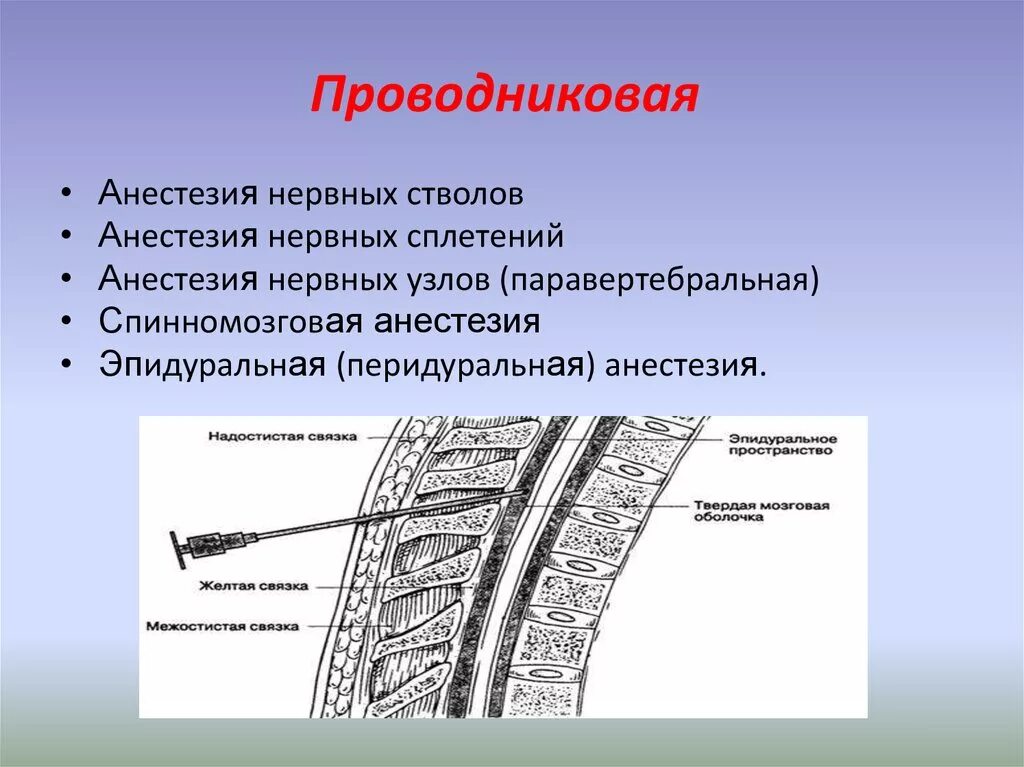 Проводниковая анестезия. Проводниковаяанастезия. Проводниковая (регионарная) анестезия. Местная проводниковая анестезия. Что такое проводниковая анестезия