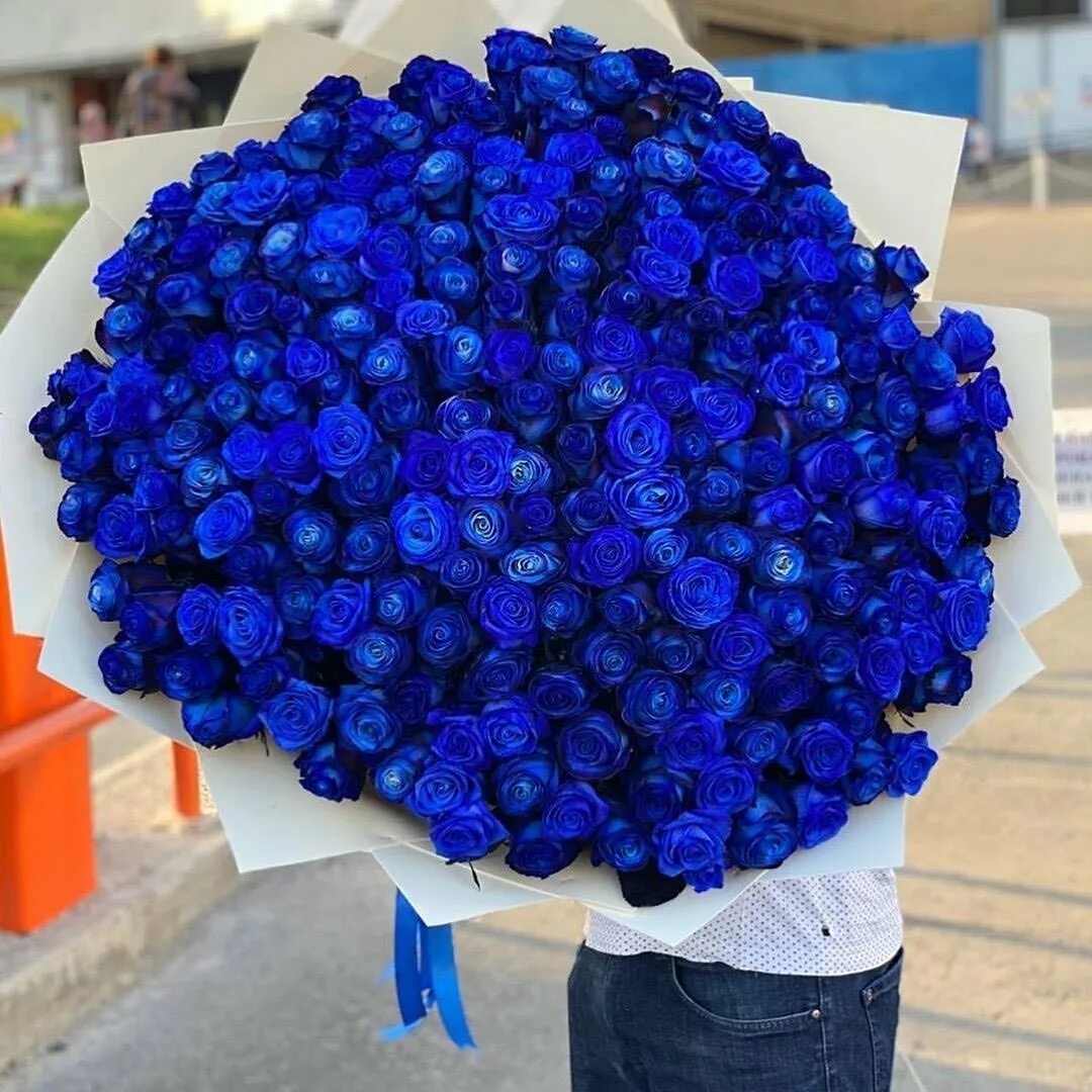 Все цветы по одной цене. Голубые розы букет. Букет синих роз. Синие цветы букет.