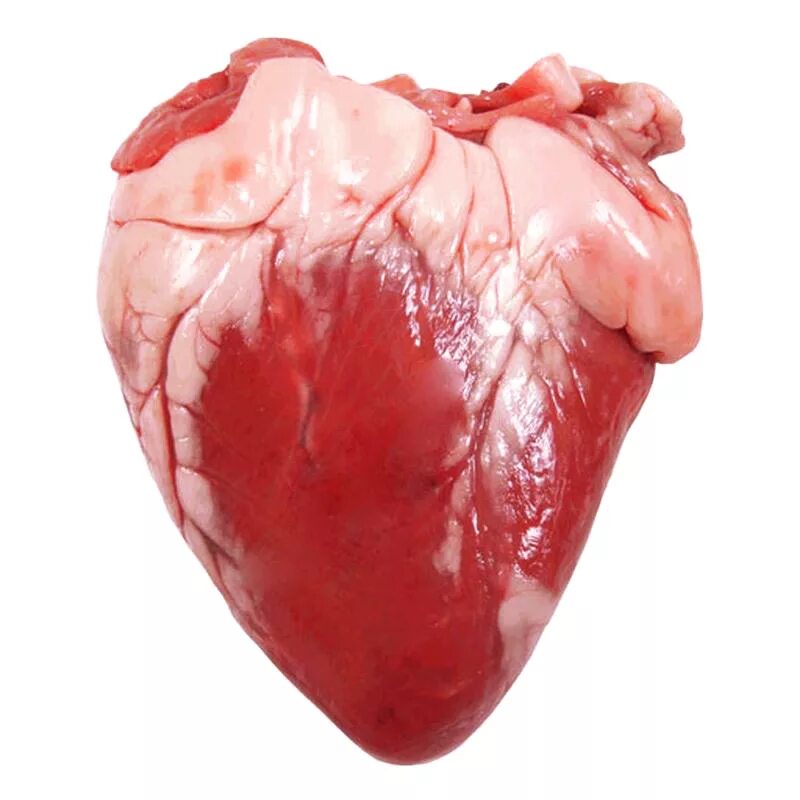 Сердце говяжье фото. Баранье сердце субпродукты.