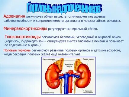 Гормоны надпочечников инсулин