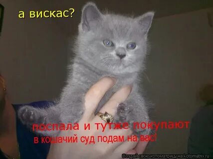 Тутже