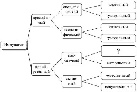 Язык биологии схема