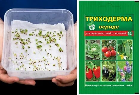 Триходерма для почвы в теплице осенью