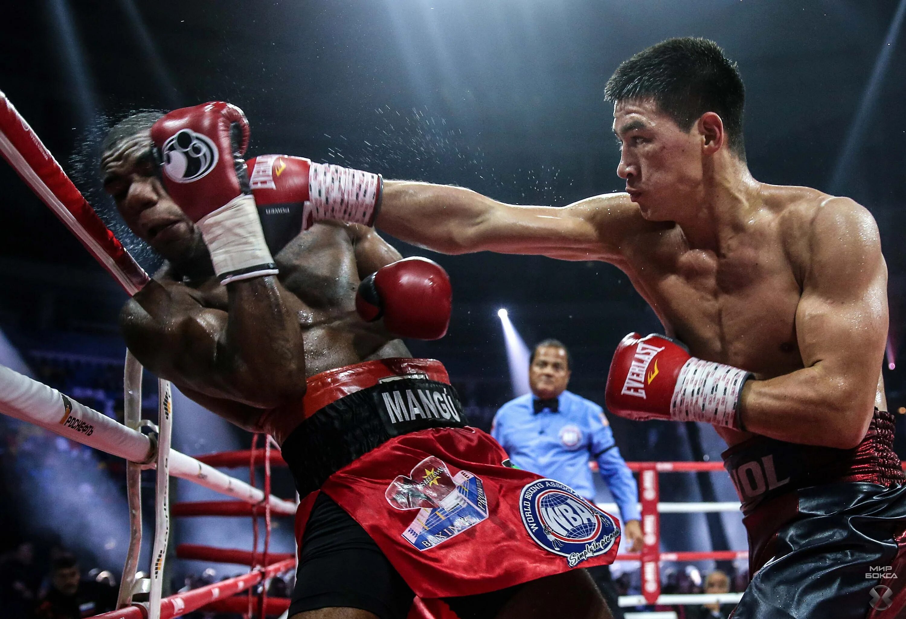 бокс россия. боксерский матч. боксер бокс. канал матч бокс. бокс на матч сейчас.