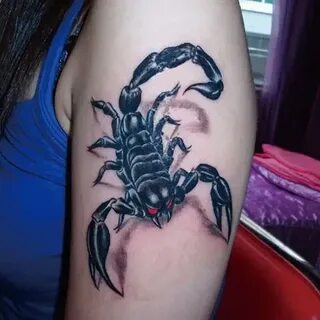 Скорпион 26