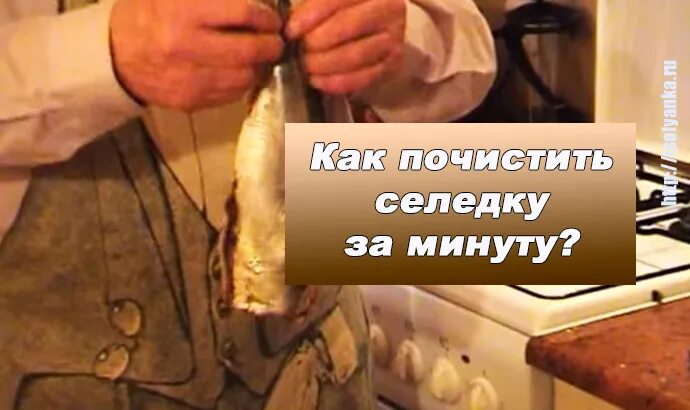 Как чистить селедку видео. Как чистить селёдку от костей. как быстро почистить селедку. быстро разделать селедку от костей. как очистить селедку от костей.