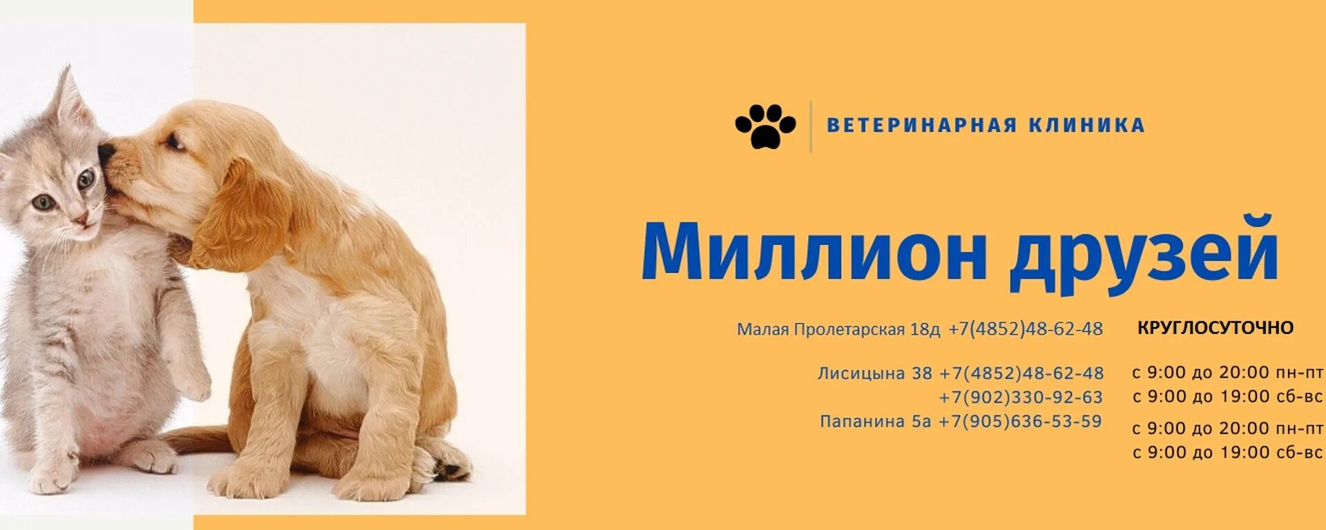 Малая пролетарская 18д миллион друзей. Миллион друзей ветеринарная клиника Ярославль. Ветклиника 1000000 друзей. Миллион друзей Ярославль Лисицына ветеринарная клиника. Миллион друзей Ярославль Лисицына телефон.