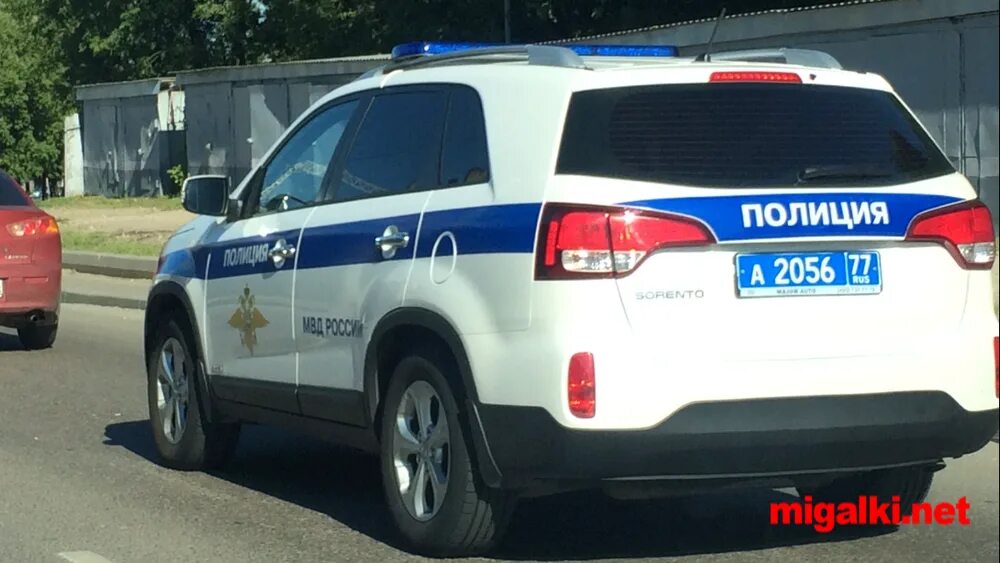 Номер полиции полный. Номер полиции города москва. Полиция москвы. Номер полиции города москва. Номер полиции города москва.