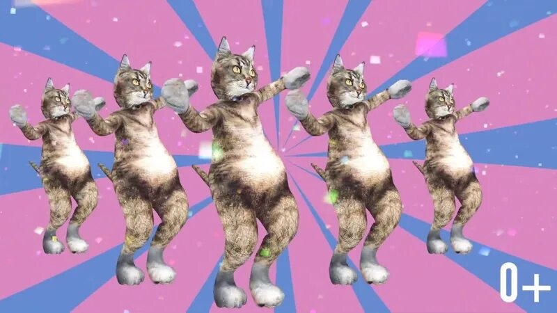 Маска песня танцы кот. Танцующий кот. Кот танцует. Танец котика. Танцующие котики на дискотеке.