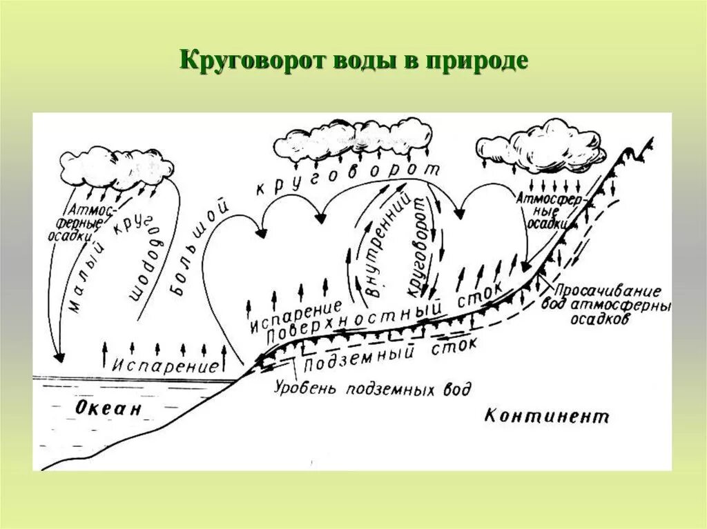 Циркуляция работа
