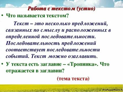 Какая группа предложений определяет текст