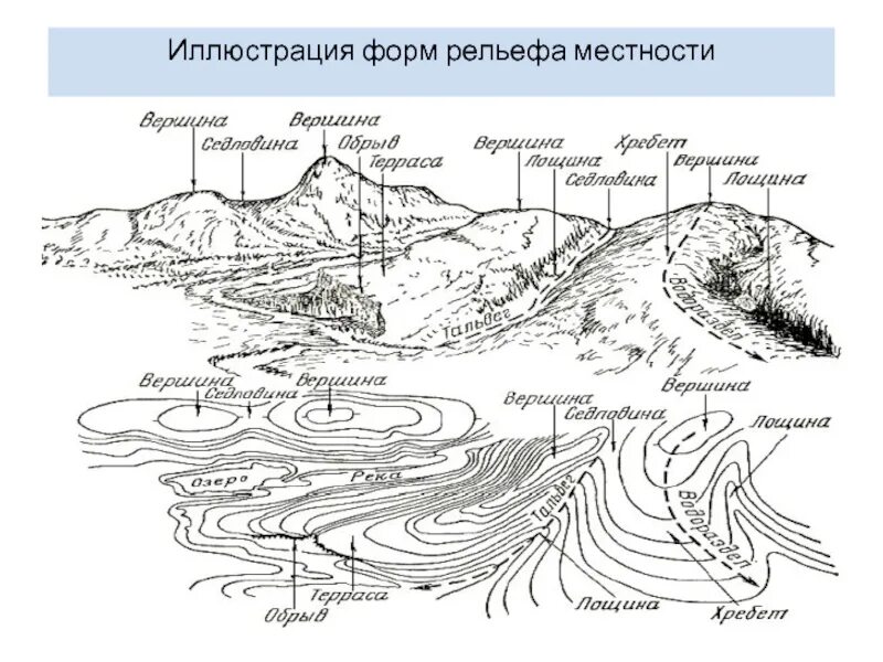 Типы форм рельефа. Лощина форма рельефа. изображение форм рельефа горизонталями. основные формы рельефа местности геодезия. рельеф местности типы и формы рельефа.
