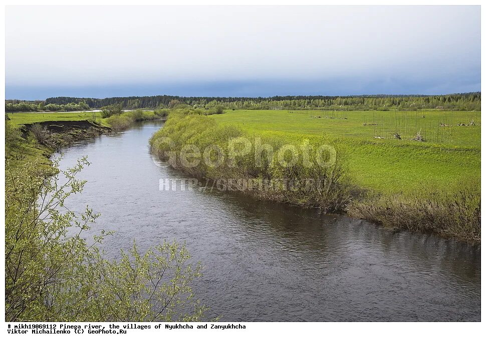 Нюхча (река, впадает в белое море). Река Нюхча. Нюхча Пинежский район. Пинега река бассейн. Нюхча райский уголок