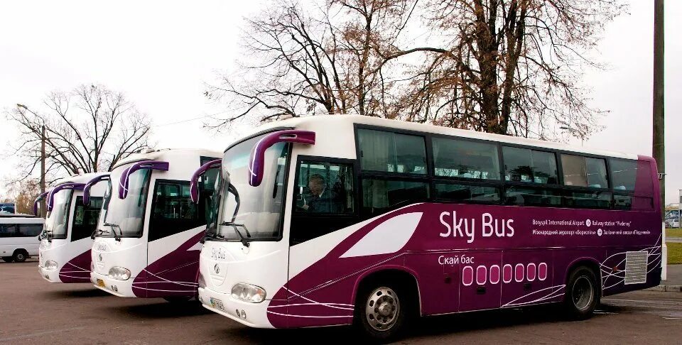 SKYBUS Борисполь Киев. Автобус SKYBUS Киев. Sky Bus автобус. Скай бас что это такое