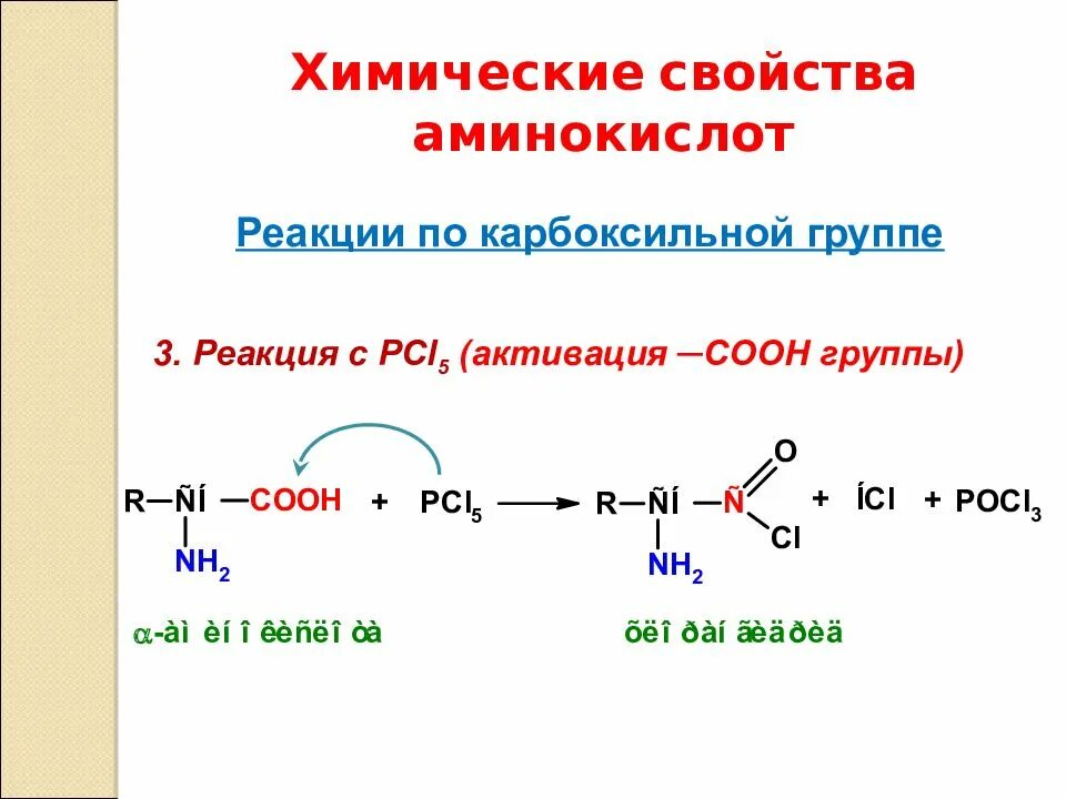 Реакции на карбоксильную группу. Реакции по карбоксильной группе. Аминокислоты химические свойства реакции. Реакции карбоксильной группы аминокислот. Белки характерные реакции