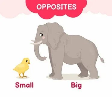 Big small транскрипция