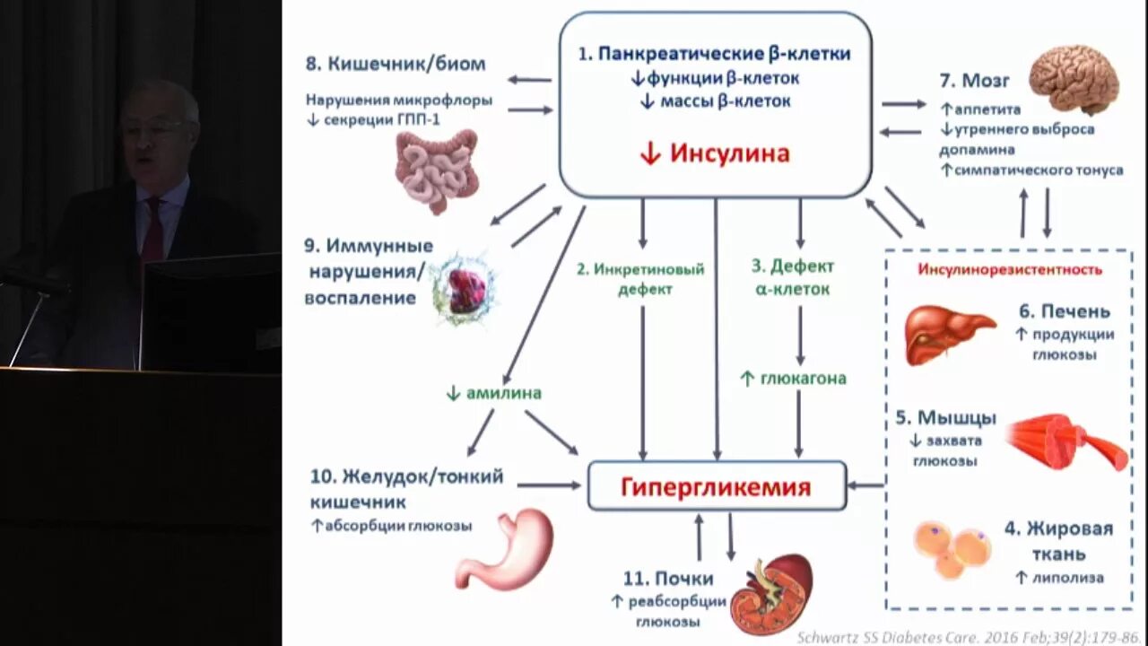 Ингибиторы натрий глкозногокотранспортера 2 типа. Ингибиторы SGLT-2 типа препараты. Ингибиторы sglt2 противопоказания. Sglt2 механизм действия. Ингибиторы глюкозного котранспортера