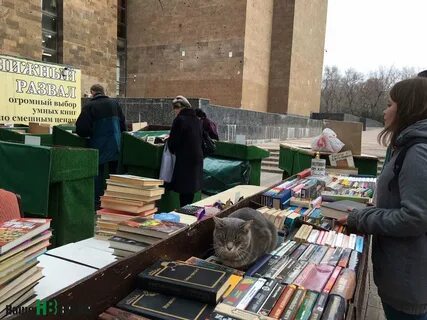 Книжный ростов на дону