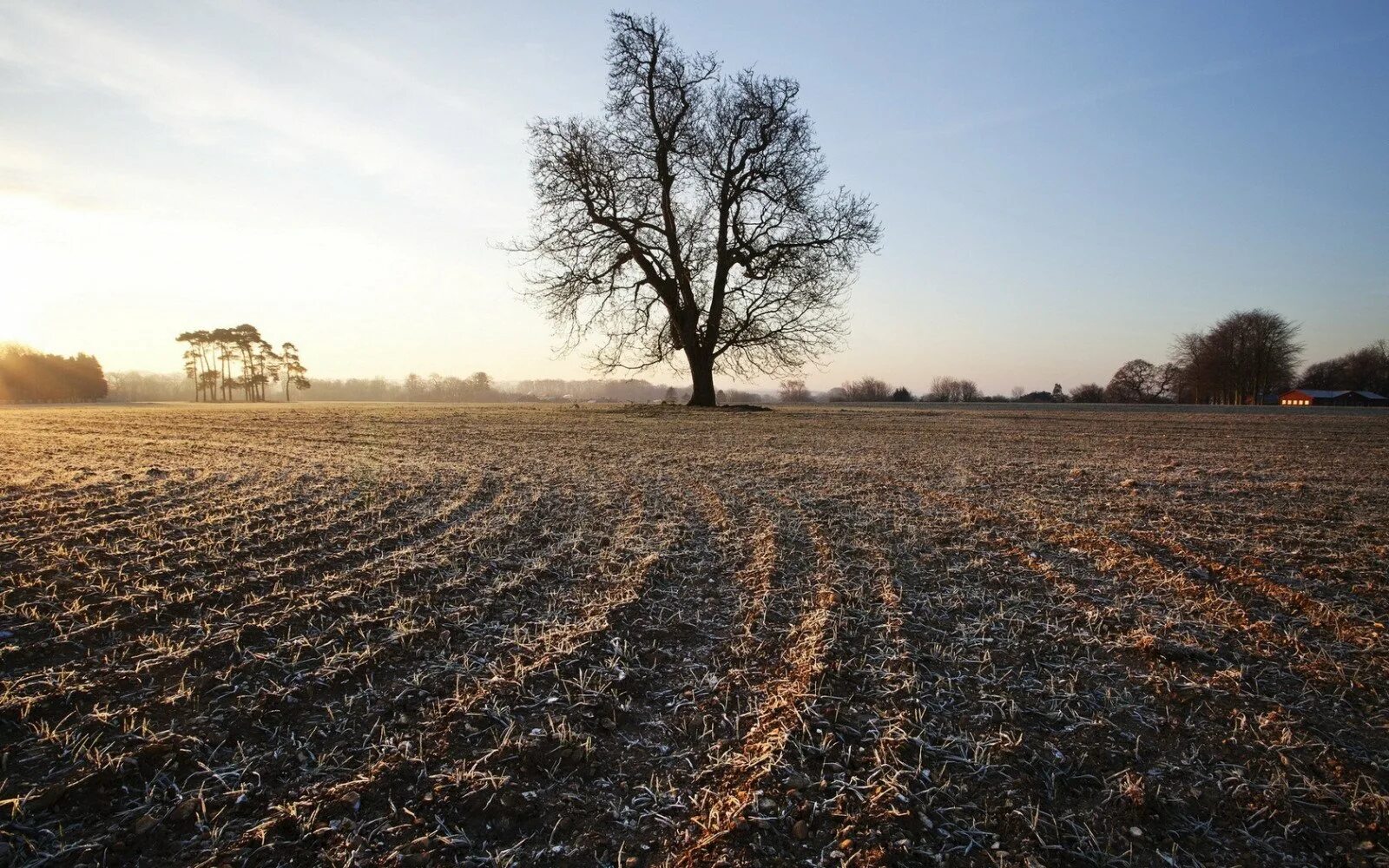 Земля с травой. Плантации овощей. Вспаханное поле осенью. Поле после сада. Распаханное поле.