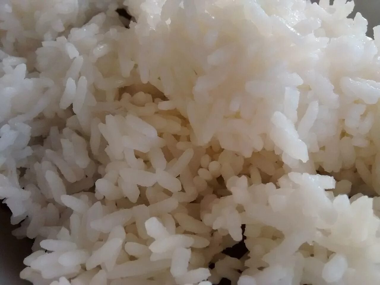 Японский рис сорт. Калифорнийский рис. среднезернистый рис. calrose rice. рис ботан.