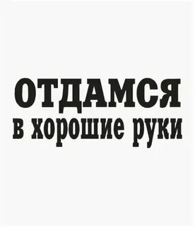 Отдам в хорошие руки санкт петербурге